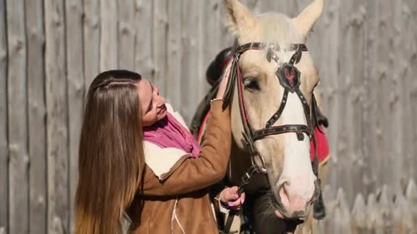 Girl in the brown jacket stroking horse — Stock Video