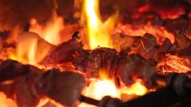 Carne allo spiedo arrostimento sul fuoco — Video Stock