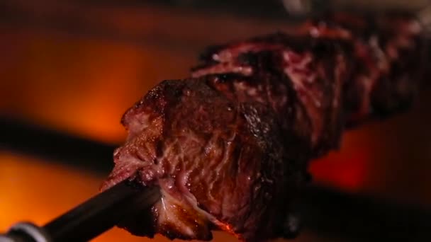 Meat on skewer roasting on the fire — Stock Video