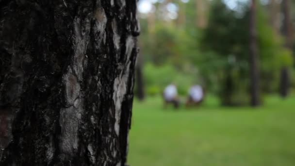 Hombres en trajes hablando en el parque — Vídeos de Stock