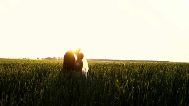 Новобрачные обнимаются на пшеничном поле — стоковое видео