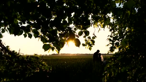 Pareja quedándose en el campo — Vídeo de stock