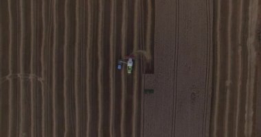 Biçerdöver buğday kamyon havadan görünümü kaldırır.