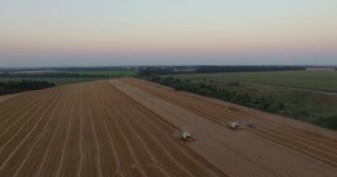 İki biçerdöver tresh buğday havadan görünümü