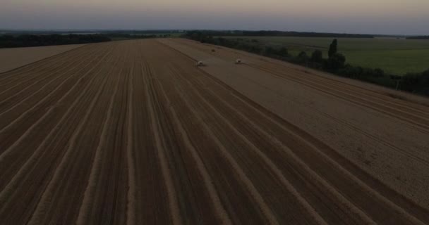 Erntehelfer zerkleinern Weizen aus der Luft — Stockvideo