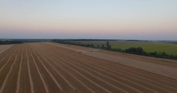 Cosechadoras vista aérea de trigo de malla — Vídeo de stock