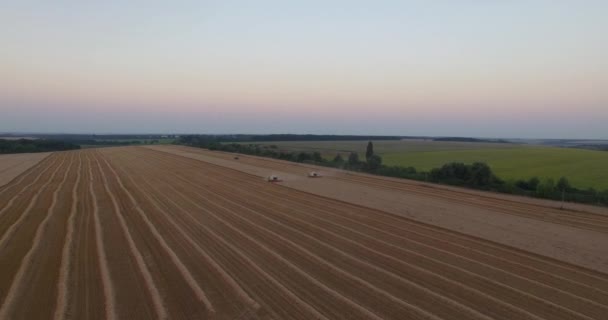 Colheitadeiras tresh trigo vista aérea — Vídeo de Stock