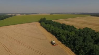 buğday üstten görünüm Harman hasat