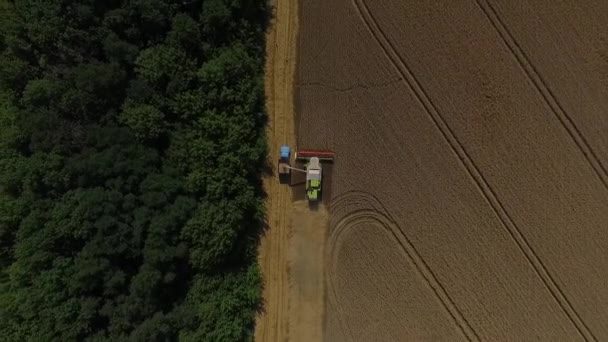 Комбайн разгружает пшеницу с воздуха — стоковое видео