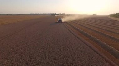 buğday ve toz Harman hasat