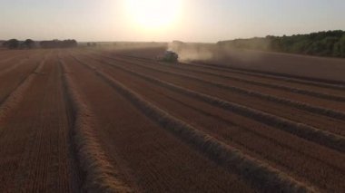 bir tedavi alan hasat üzerinde uçuş