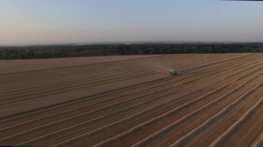 Buğday havadan görünümü uzaktan Harman hasat