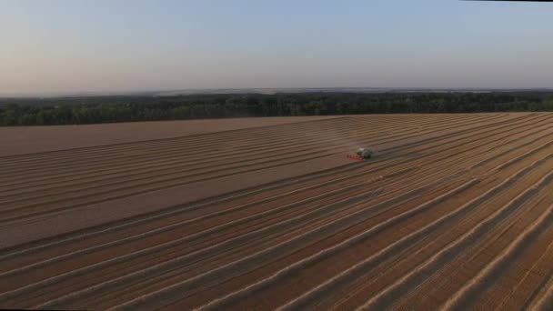 Cosechadora trillando trigo vista aérea desde lejos — Vídeo de stock