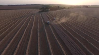 Combaines biçerdöver buğday havadan görünümü Harman