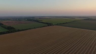 gün batımında buğday alanının havadan görünümü
