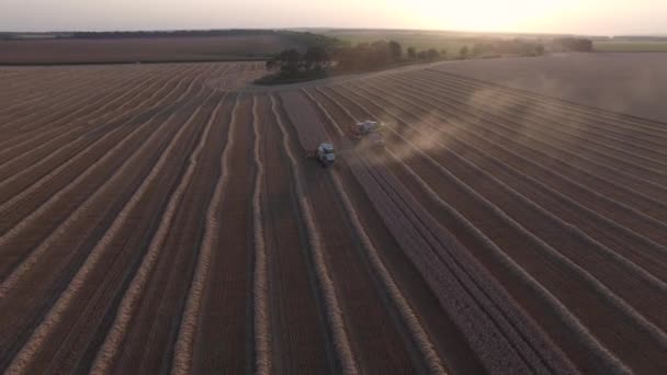 Combinaisons moissonneuses battant du blé vue aérienne 