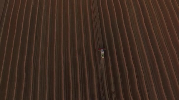 Luta contra o trigo debulhador — Vídeo de Stock