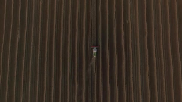 Combaines threshing wheat aerial view — Stock Video