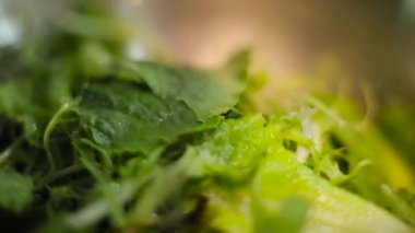 soslu marul yakın çekim