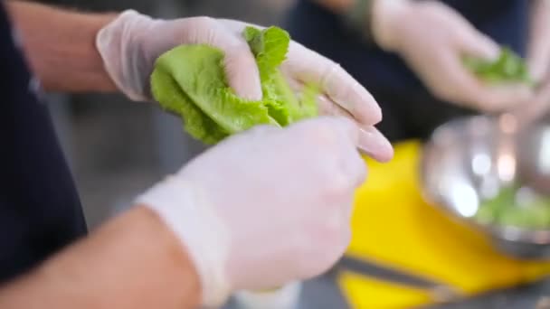 Koch zerkleinert einen Salat — Stockvideo