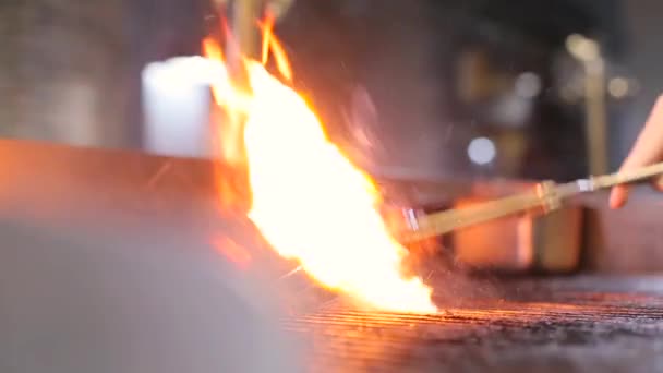 Kızartmalar et ateşte pişirmek — Stok video
