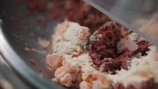 A produção de carne picada closeup — Vídeo de Stock