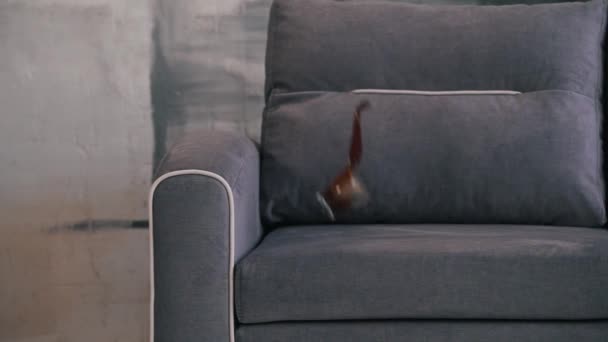 Склянка з напоєм впала на диван крупним планом — стокове відео