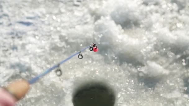 Winter fishing in the hole — Stock Video
