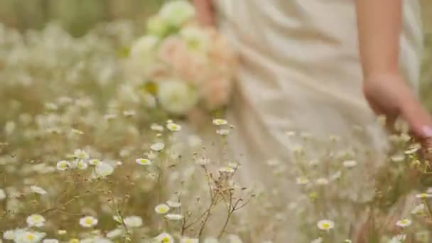 Novia caminando en el campo de flores sosteniendo flores — Vídeos de Stock