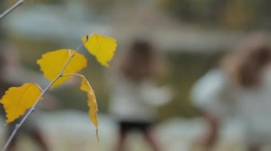 Sarı yapraklar ve dans eden kızlar