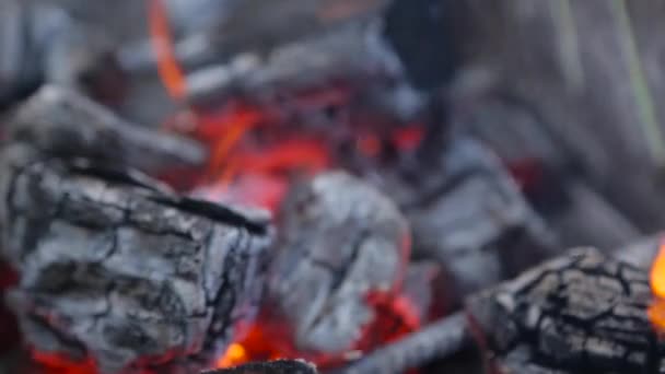 Палаючий вогонь і яскраве вугілля — стокове відео