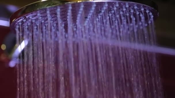 Ein Wasserstrahl aus der Dusche — Stockvideo