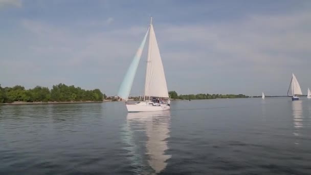 Veel jachten op het water — Stockvideo