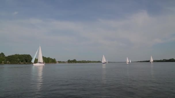 Barcas panorámicas en el lago — Vídeo de stock