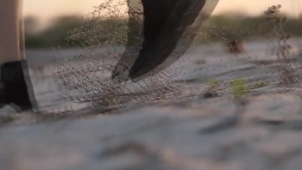 Fille marche sur le sable et tumbleweed — Video