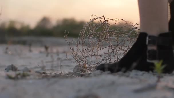 Tumbleweed sur le sable et les jambes des filles — Video