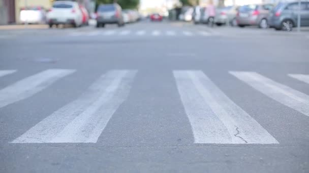 Man korsar vägen på en zebra — Stockvideo