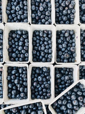 Küçük kaplarda dizilmiş taze yaban mersini.