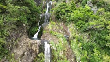 Ormanda güzel bir şelale Doğa manzarası 