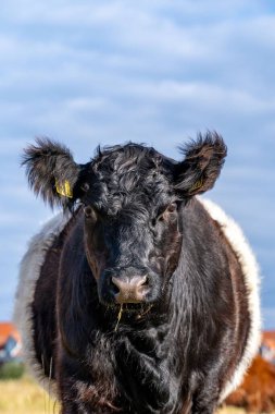 siyah beyaz alanında ayakta