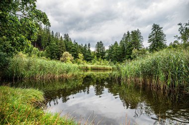 beautiful summer landscape with river in forest at cloudy day