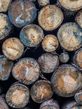 close up of wood logs texture background