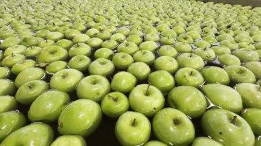 Fabrikada elmalı ürün üretimi 