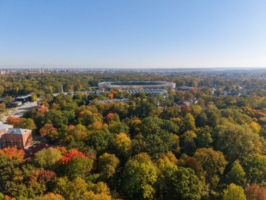 Parktaki ağaçların ve binaların havadan görünüşü.