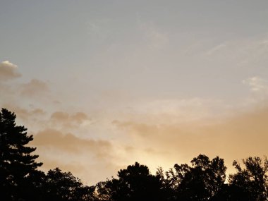 Gün batımına karşı ağaçların silueti olan manzara