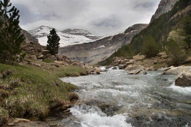 Nehir akan dağ manzarası, kayalık kıyılar ve bulutlu gökyüzü altındaki ağaçlar.