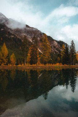 Durgun göl yüzeyine yansıyan sonbahar ağaçları ve dağ manzarası