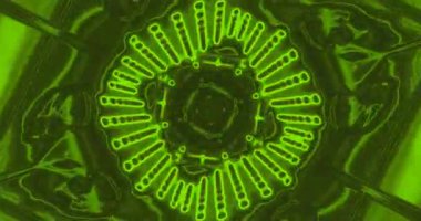 Dairesel şekiller ve canlı yeşil renkler içeren soyut desen