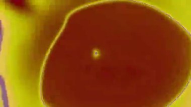 Canlı turuncu ve sarı renkleri gösteren soyut yakın plan resmi