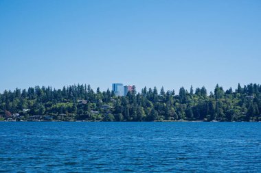 Ağaçlı ve binalı berrak mavi göl